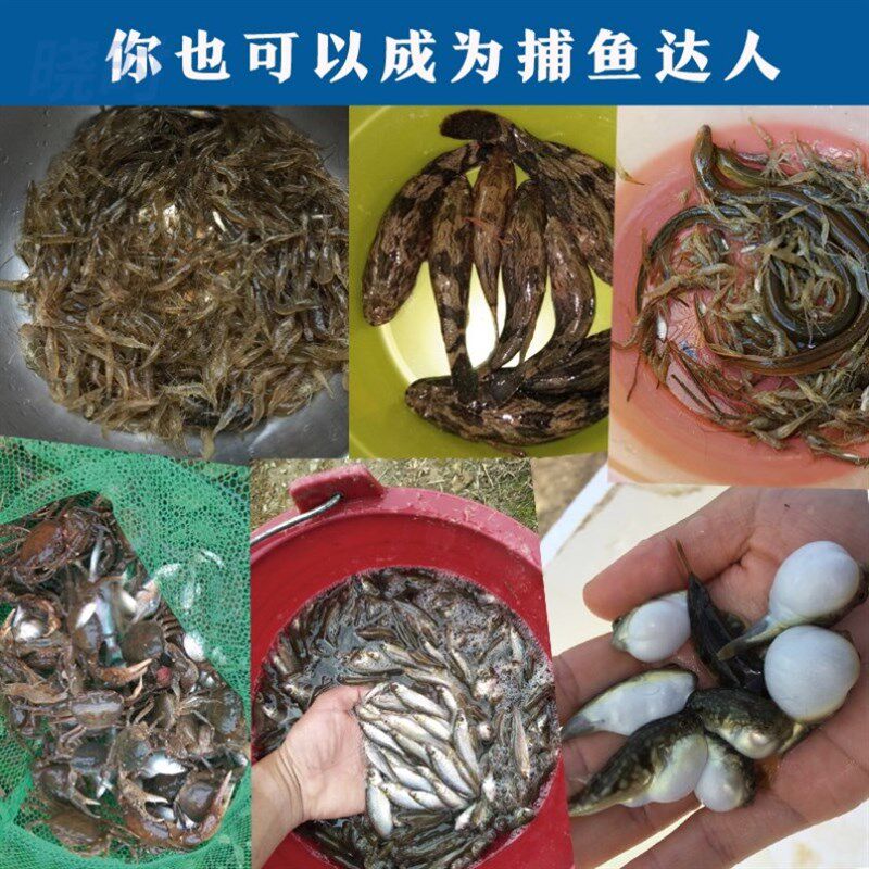 极速地箜网鱼鱼笼只进不出小号塘角塘鲺泥猛笼螃蟹笼子海边用