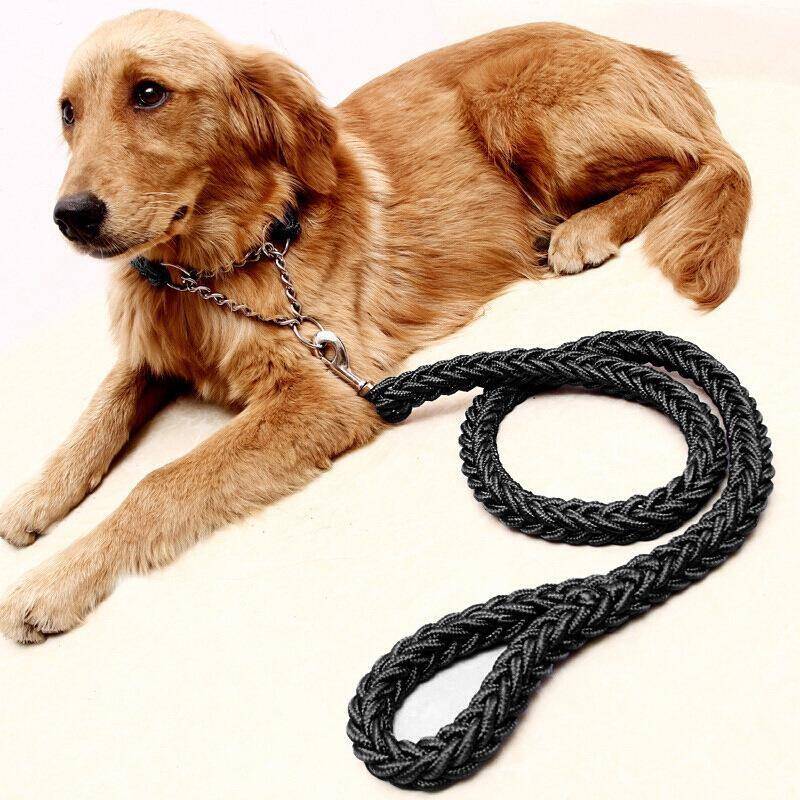 large dog walking traction rope collar pet reflective leash
