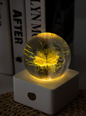 黑种草郁金香蒲公英水晶球小夜灯创意卧室树脂摆件送男女朋友礼物