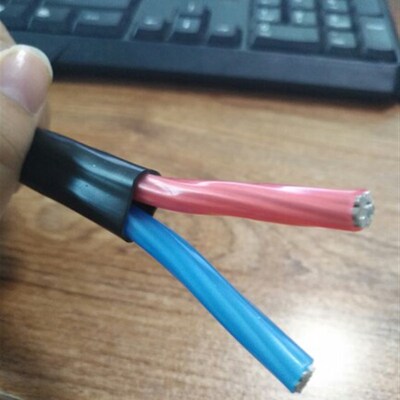 好货国标农网户外防老化2.5 4 6 10 16 25平方2芯铝线芯国标护套