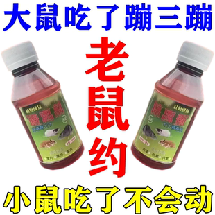 老鼠水剂母液化工药特效强力老鼠克星养殖场商家用耗子神器