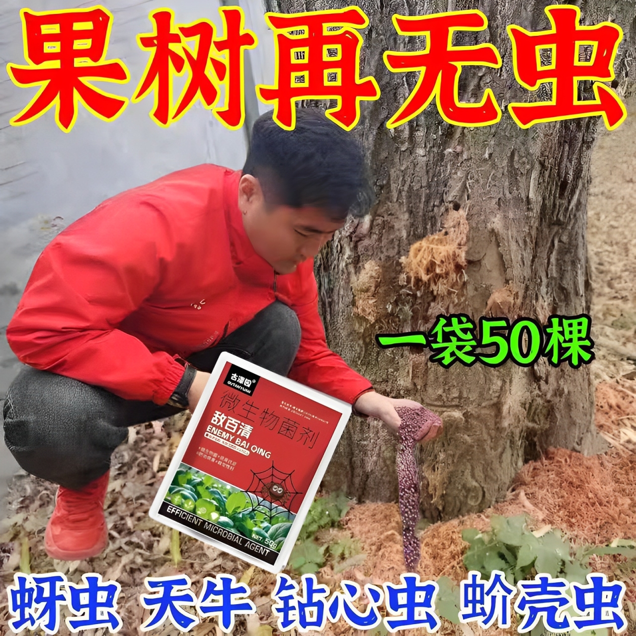 果树杀虫专用药天牛克星树洞虫杀虫颗粒天牛幼虫钻心虫涂白杀虫剂