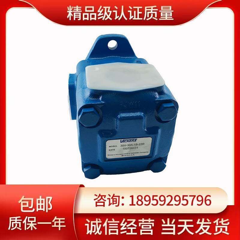 义盛液压35V-32A/35A/38A/42A-1A/1B/1C/1D-22R 叶片泵液压帮浦油