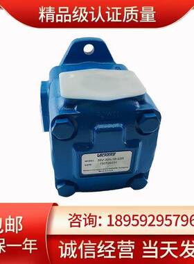 义盛液压35V-32A/35A/38A/42A-1A/1B/1C/1D-22R 叶片泵液压帮浦油