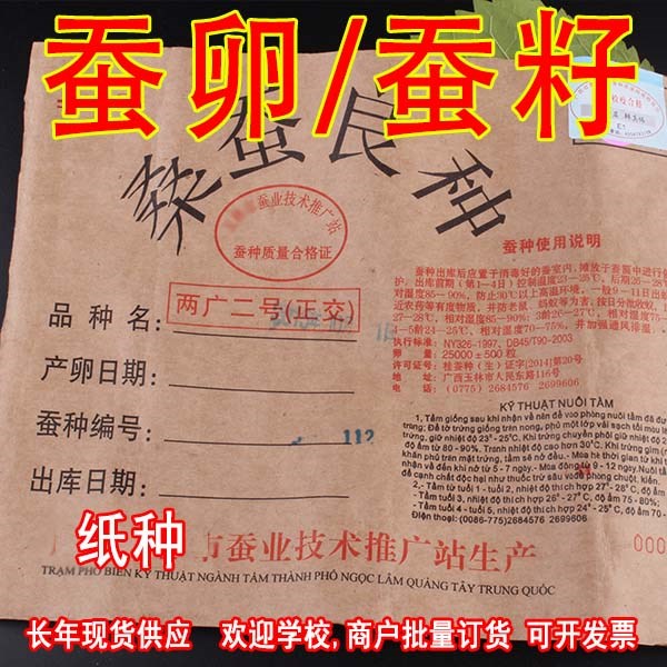 蚕宝宝蚕籽蚕卵学生养蚕套装蚕蛋天然彩蚕子金丝蚕桑叶新鲜宠物种