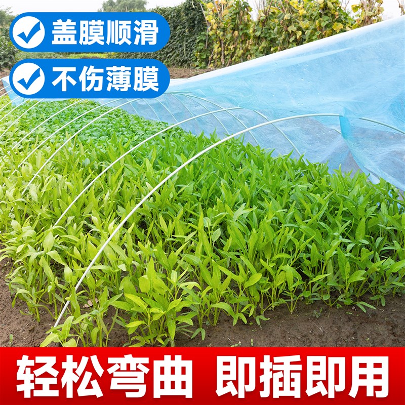 大棚骨架小拱棚支架玻璃纤维豆角架杆温室保温棚玻璃钢实心杆农用