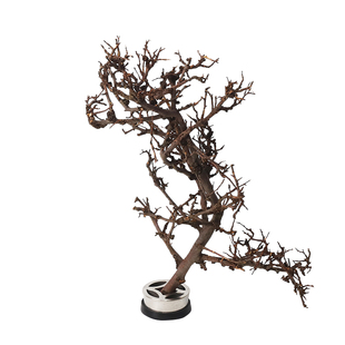 泰国枝花材造景装饰插花干枝树枝莫斯树杜鹃根多枝丫材料造型枯枝