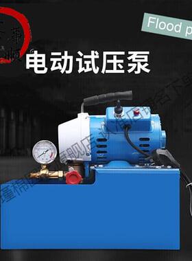 DSY-25打压泵手提式手动电动试压泵60PPR水管道测压机地暖打压机