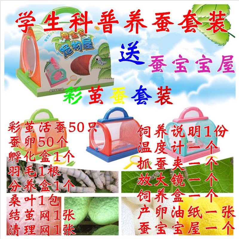 蚕宝宝别墅观察饲养箱套装全学生养蚕日记工具彩色活蚕吃桑叶新鲜