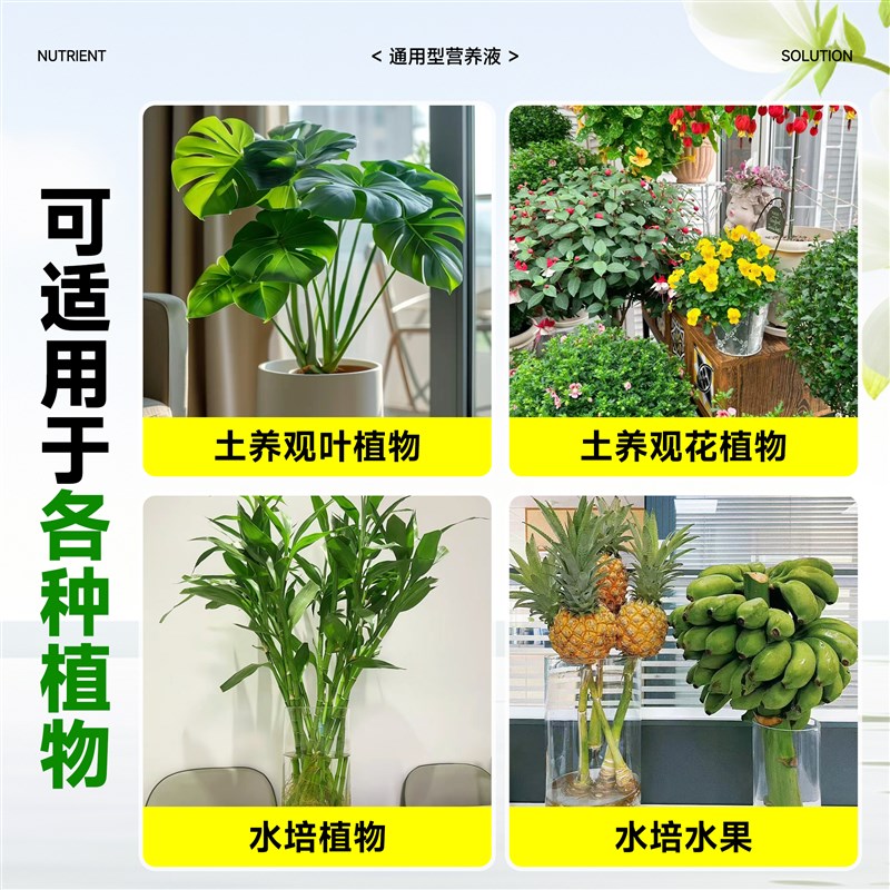 免稀释植物营养液通用型盆栽花卉室内绿植发财树金钱树叶面喷施肥