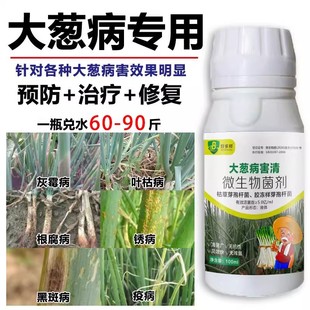 好多邦大葱病害清病菌净毒清微生物菌剂锈病全治专用药肥白斑干已