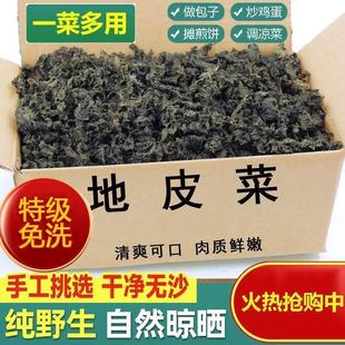 新货.地皮菜干货免洗新鲜特级雷公菌地软菜500g地皮菇雷公屎野生