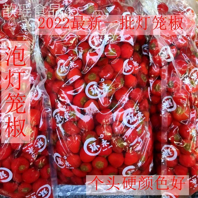 速发重庆四川泡灯笼椒珠子椒称圆泡椒大包装商用个头硬散红辣椒不