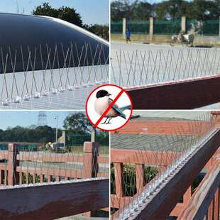 Amazon provides bird repellent and anti thorn bird Repeller