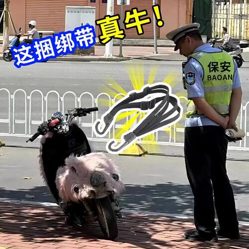 电瓶车摩托车牛筋弹力后座捆绑带