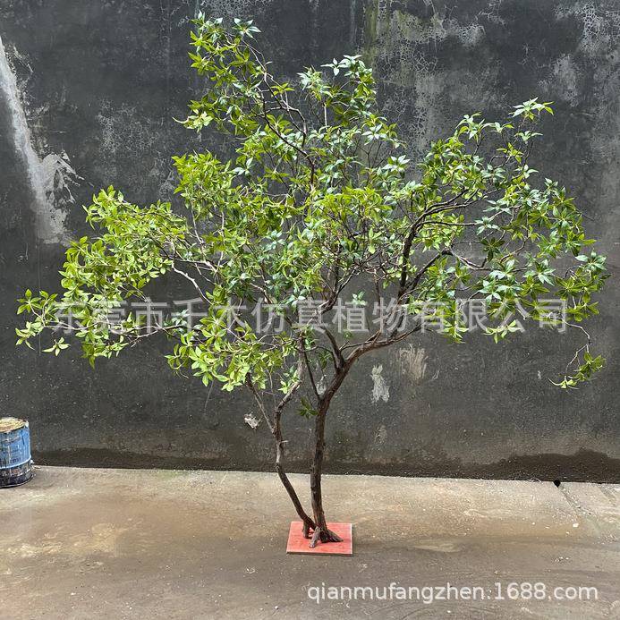 仿真马醉木树大型落地实木仿真马醉木假树假绿植物空间造景微景观