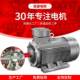 8三相异步立式 供应45KW380八级小型电机YE3 280M 电机马达铜芯