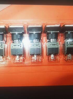 带灯按钮AH165-TLE3