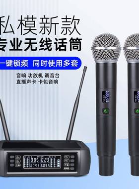 朗声新款私模专业演出主持唱歌户外k歌充电款无线麦克风话筒