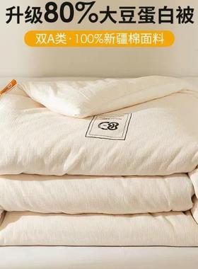 A类母婴80%大豆纤维被春秋被芯加厚冬被子母被棉被宿舍四季通用