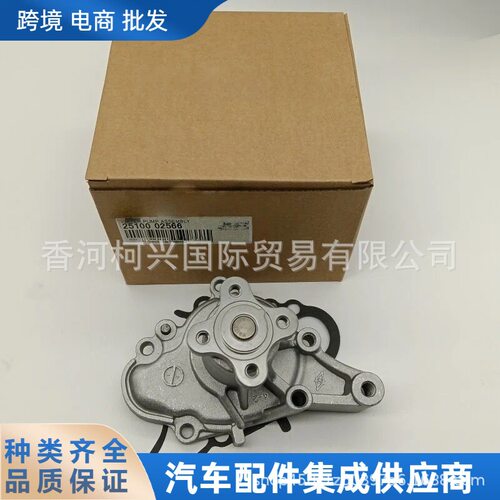 251000256625100-02566发动机水泵Assy适用于起亚