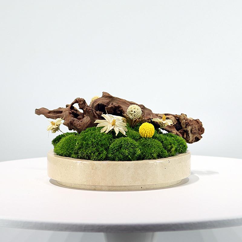 新中式大理石永生苔藓枯木景观绿植花艺轻奢现代客厅茶几餐桌摆件