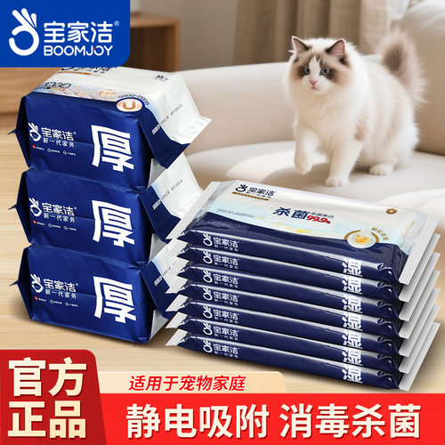 宝家洁家用拖地干巾湿巾粘毛除尘