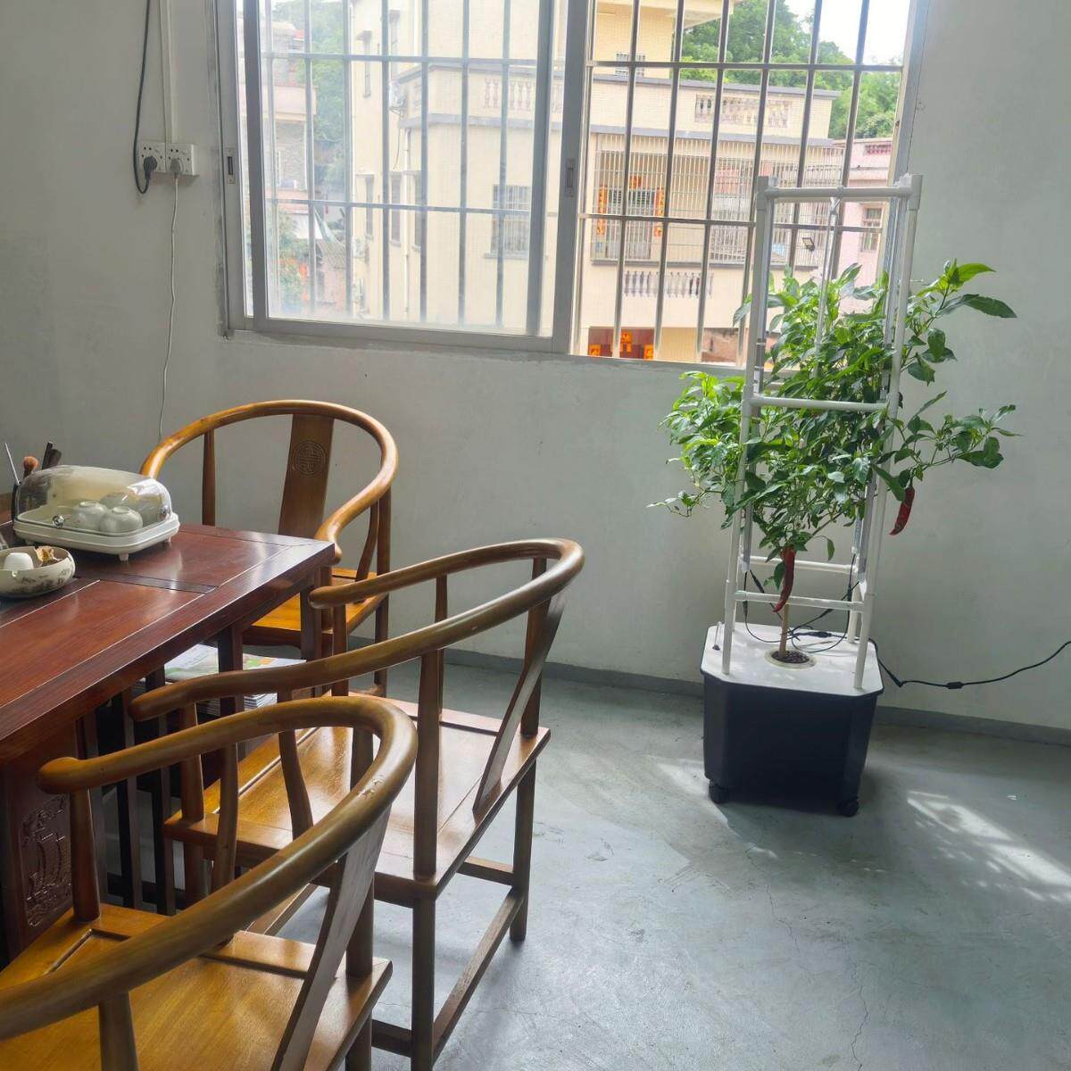瓜果种植箱室内植物培养箱辣椒黄瓜番茄水培箱无土栽培设备种菜机