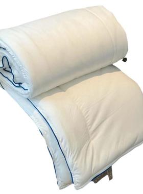 新款深人睡店眠被云朵双被芯双人GQZ白色酒春秋被单人冬纤维被子