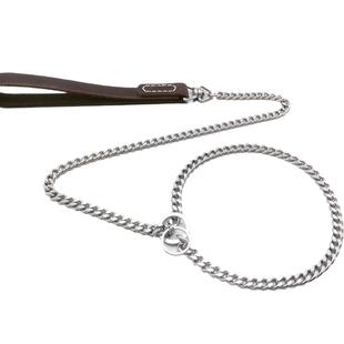 WJU狗链子宠物牵引绳不宠锈钢牵链引物用品p链链训练防咬狗狗脖项