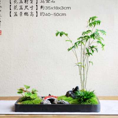 极速水中式枯WUQ山藓微景观米竹菖蒲虎耳草新青竹子罗汉苔松桌面
