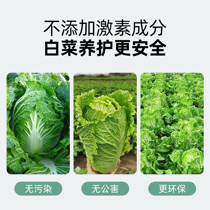 极速大白菜专用肥料种白菜的肥叶厚嫩绿青菜包菜甘蓝增产蔬菜有机