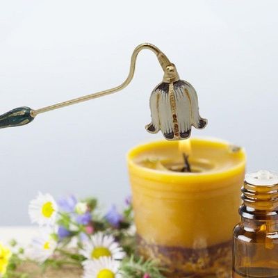 极速Elegant Candle Snuffer Candle Extinguisher Long Handle C