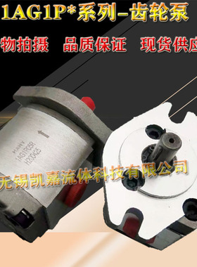 速发1AG1P02R/02R/0R/04R/0R5/06RR07//0/R80R HOOR齿轮泵液压油