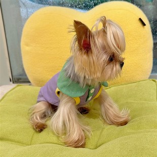 速发小甜粥服无袖撞色P弹背尔O力透气薄款约克夏马心济衣服