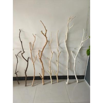 去皮漂白龙骨干造型树枝树杈装饰树干树枝软装材橱窗美陈吊顶耗材