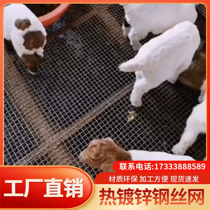 热镀锌钢丝网羊床漏粪网羊床钢丝网鸡鸭牛羊漏粪底网加粗加厚钢网