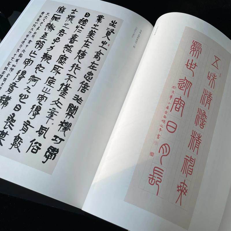 杜延平书法篆刻作品集 西泠公益行 当代名家篆刻印章印谱书法刻壶
