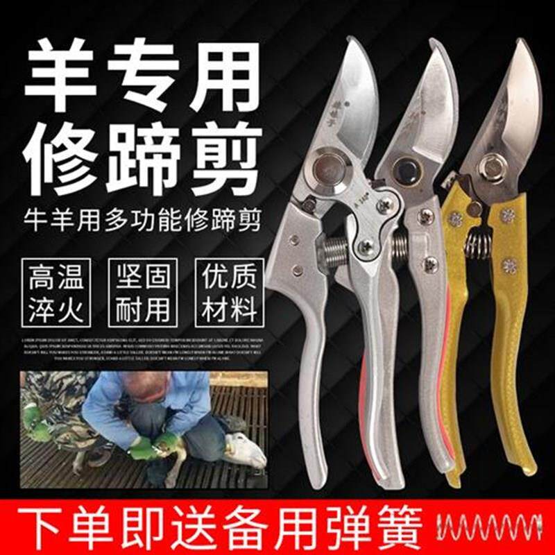 修羊蹄子剪刀羊修蹄刀q兽用剪蹄刀羊修蹄工具剪脚趾剪子刀养羊用