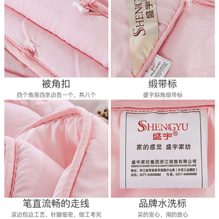 精选盛宇家纺夏凉被空调被二合一子母被芯四季通用薄被子春秋夏季