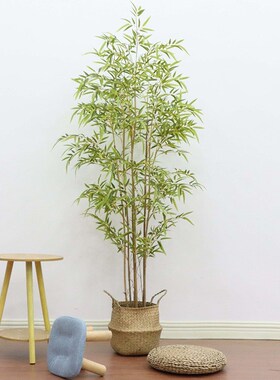 仿真植物竹子盆栽室内落地装饰富贵竹盆景隔断屏风橱窗造景假竹子