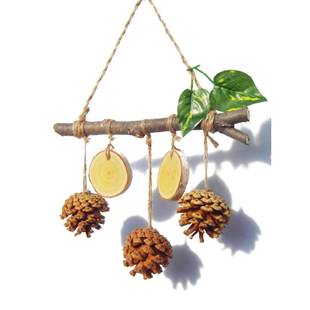 原木圣诞松果挂件松塔挂墙装饰品田园风墙面装饰森系房间挂件教室