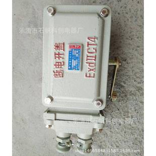 32重锤开关通用 10LX510 防爆行程开关BLX11LX510 12BLXK501