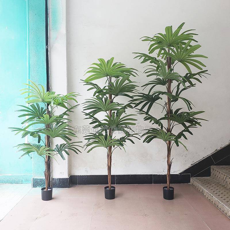 供应仿真盆栽绿植小葵树过胶叶五指葵家居办公室摆放棕竹葵