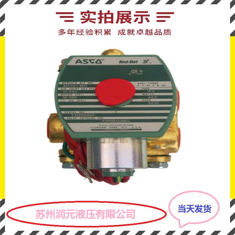 上海SBFEC袋式脉冲喷吹控制仪DMK-8CSD-08-LL 当天发货