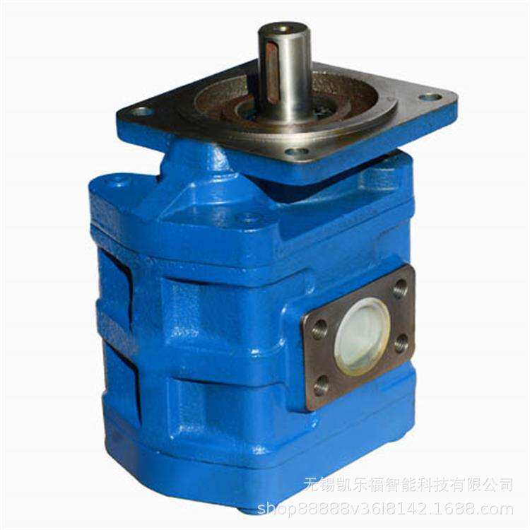 CB-KPL100-B2F2H1,CB-KPL100-B2F2H2价格 装载机油泵 起重机油泵