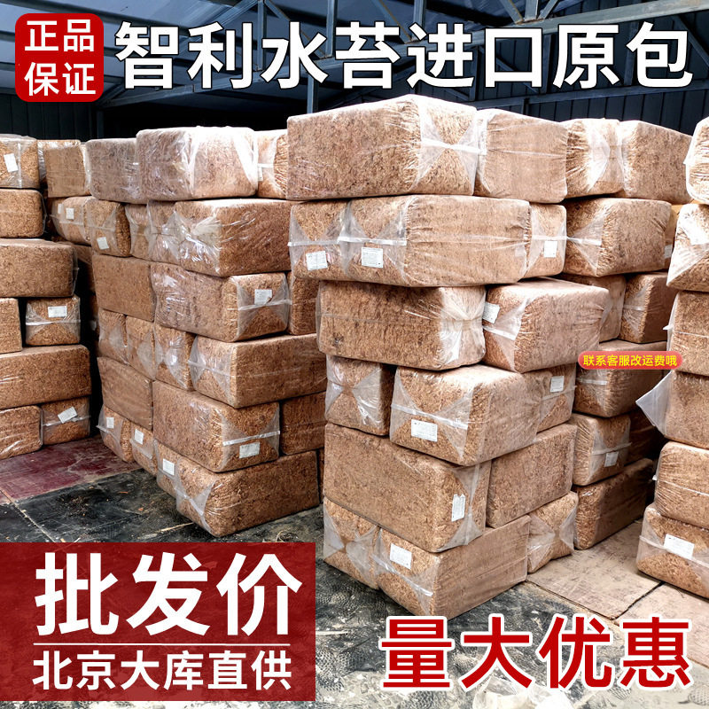 批发智利进口水苔干苔藓蝴蝶兰专用基质 石斛植物营养土龟蛇垫材