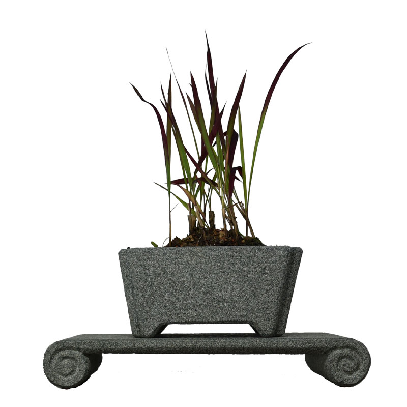 天然青石头花盆掌中盆景盆小老桩豆盆粗陶微型手工石头菖蒲专用盆