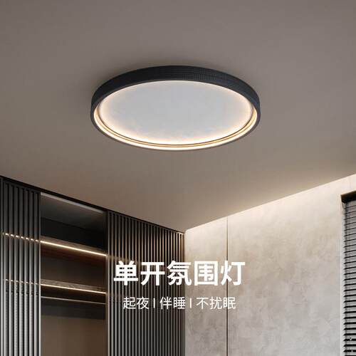 皮革云雾卧室吸顶灯现代简约极简意式高级感2025新房间普瑞主卧灯