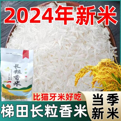 2024新米贵州梯田长粒香米官方旗舰店10斤装农家大米不抛光不打蜡